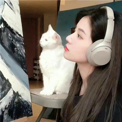 玩偶特工